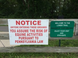 Dangerous Equine Activities
